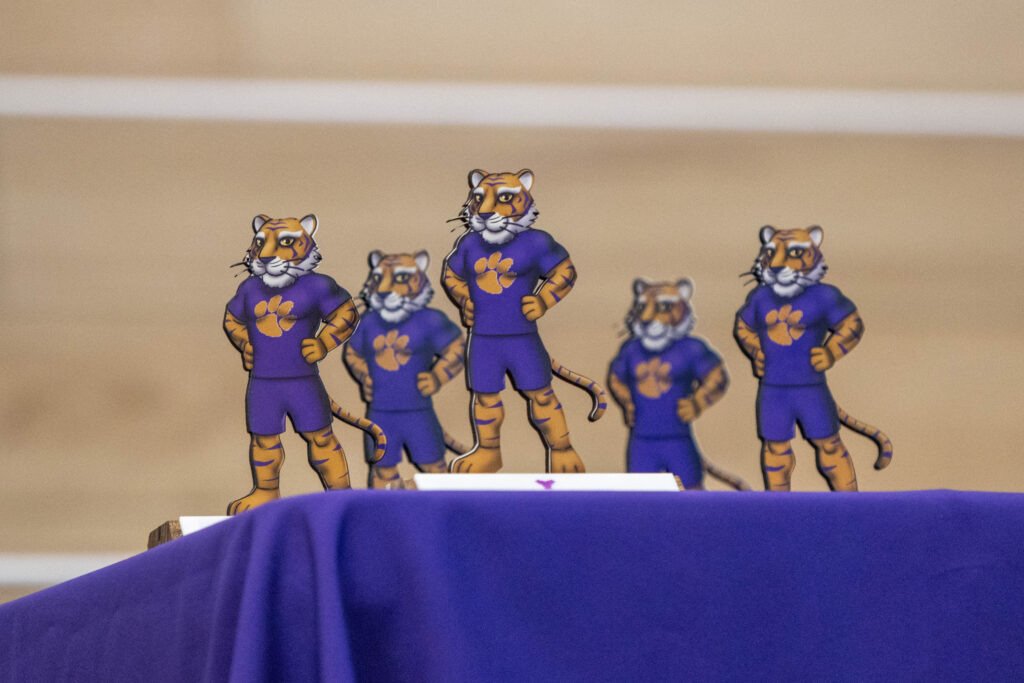 Portrait of a Tiger trophies