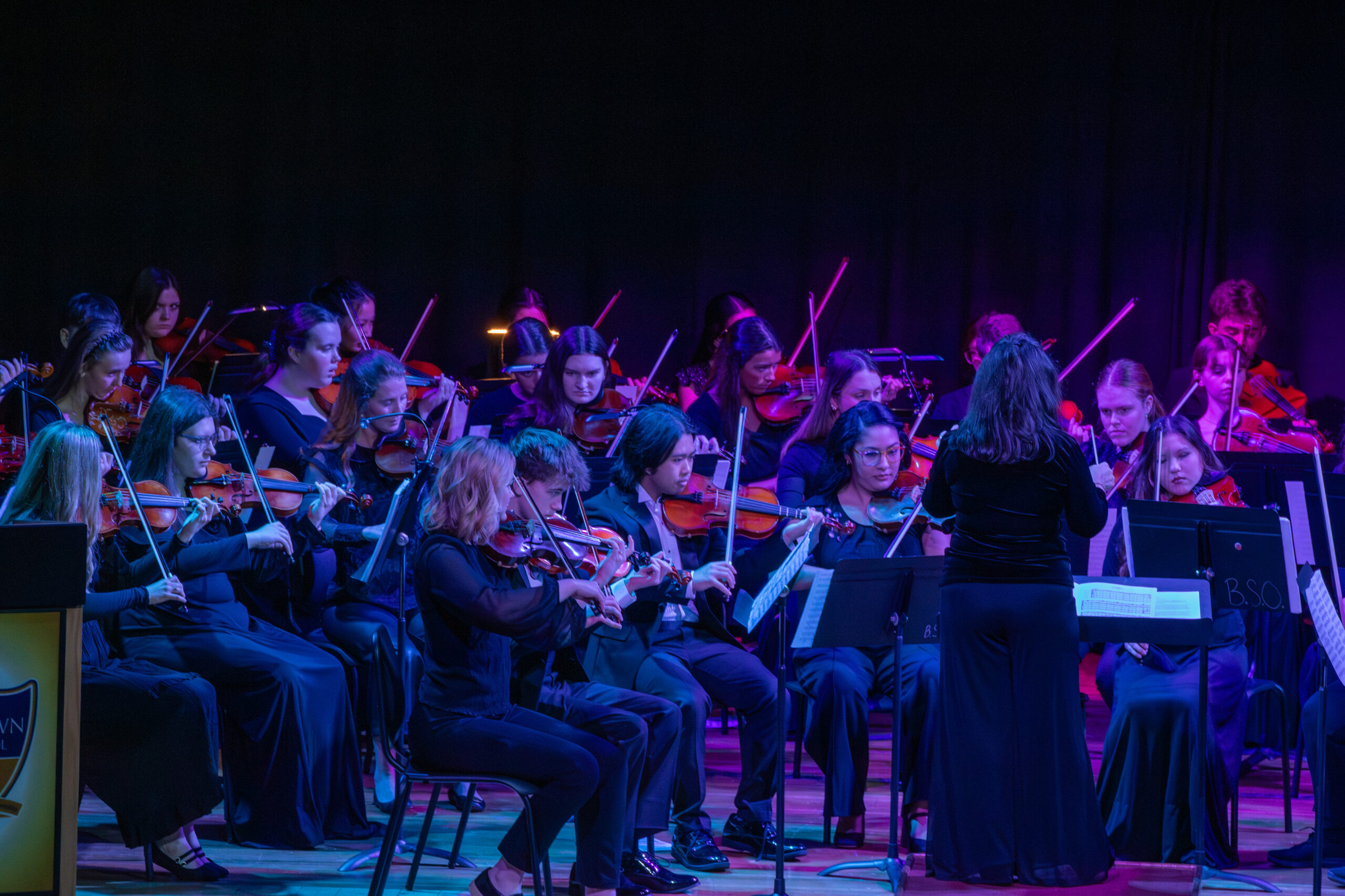 Attendees enjoyed a joint concert with alumni and the current high school orchestra.
